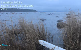 Экологическая милиция выявила нарушения в Ермиловском заливе у мыса Сигнальный