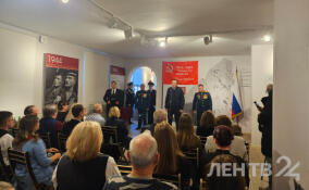 Александр Дрозденко вручил награды семьям погибших участников СВО