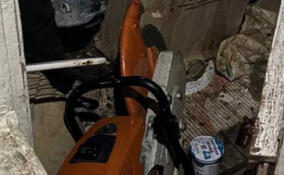 Жителя Лодейного Поля задержали за кражу рельсореза