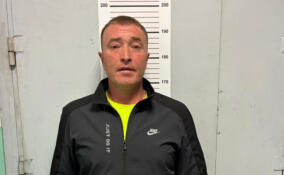 Житель Ленобласти обокрал частный дом в Зеленогорске на 4 млн рублей