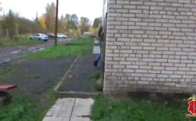 В Пикалево задержали пособника зарубежных онлайн-аферистов