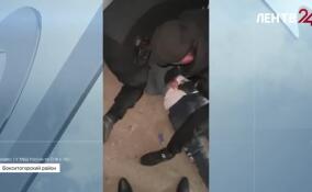 Узел связи украинских мошенников ликвидировали в Ленобласти