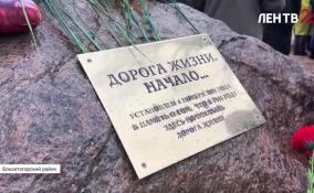 В День народного единства в Бокситогорском районе прошла традиционная акция в честь ВАД-102