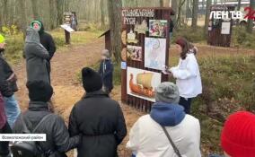 В музейно-выставочном центре «Дом Ладоги» проходят бесплатные экскурсии для ветеранов СВО и их семей