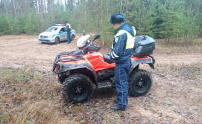 В Ленобласти изъяли мотоциклы и квадроциклы нарушителей природоохранного режима