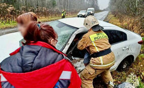 Двух пострадавших в ДТП в Ломоносовском районе зажало в автомобиле