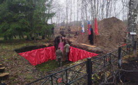 В Тосненском районе перезахоронили останки 242 воинов Великой Отечественной войны