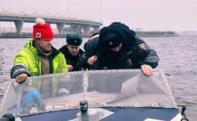 В Петербурге обманутый мошенниками подросток прыгнул с Яхтенного моста