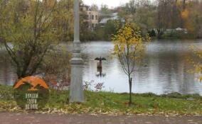 В Сестрорецке заметили большого баклана