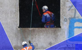 За неделю спасатели Ленобласти 24 раза выезжали на помощь жителям