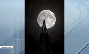 Световое шоу «Лахта Центра» и волшебство Бобровой Луны: Петербург порадовал уникальным природным явлением
