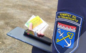 На четырех автобусных маршрутах в Ленобласти выявили нарушения