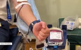 В Общественной палате Ленобласти прошел День донора