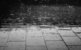 Тепло, но дождливо: прогноз погоды в Ленобласти на 7 ноября