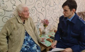 После вмешательства прокуратуры ветерану из Невской Дубровки вернули отопление