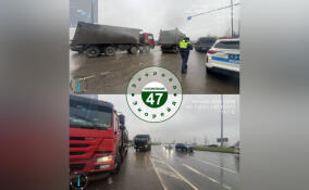 Во Всеволожском районе экологи проверили 17 мусоровозов