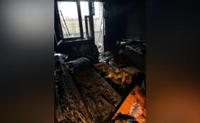 Оставленный на зарядке телефон стал причиной крупного пожара в Гатчине