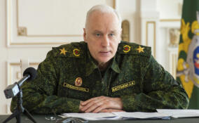 Бастрыкину доложат о ходе расследования халатности, из-за которой ветеран из Невской Дубровки осталась без отопления