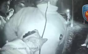 Пьяный водитель в Петербурге напал на инспекторов ДПС