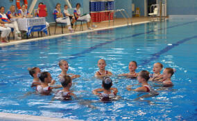 В Тосно прошли областные соревнования по синхронному плаванию