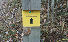 Природные заказники Ленобласти готовят к зимнему сезону