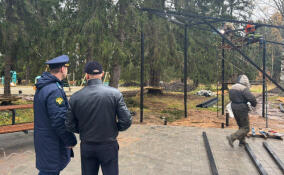 Прокуратура проверила ход благоустройства «Парка Пихты» в Ломоносовском районе