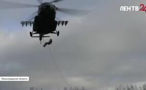 На полигоне в Ленобласти сотрудники ОМОН «Бастион» провели тренировку по беспарашютному десантированию