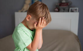 Петербурженка отправится в колонию на 3,5 года за истязание сына