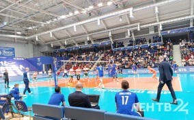 Волейбольный клуб «Динамо-ЛО» уступил новосибирскому «Локомотиву»