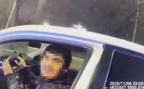 Мигрант на иномарке преследовал девочек во Всеволожском районе