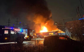 Пожар в Мурино: огонь уничтожил автосервис и повредил автомобили