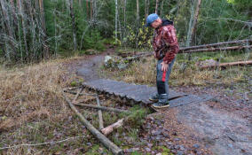 Экотропу в «Парке Монрепо» закроют на ремонт досрочно из-за повреждений