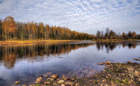 8 ноября Ленобласть накроют моросящие дожди