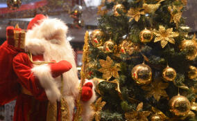 Россиян ждут рекордные 12-дневные новогодние каникулы