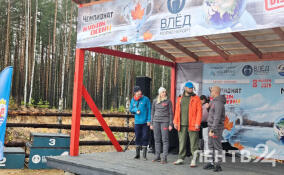 На территории Моржекурорта «Влёд» проходит Чемпионат по зимнему плаванию Ленинградской области