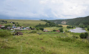 В Ленобласти выберут села для подключения к мобильному интернету