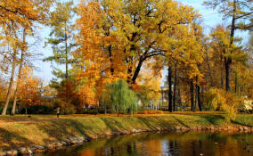 Пасмурная погода и дожди ожидаются в Ленобласти 9 ноября