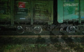 Четыре грузовых вагона сошли с рельсов в Ленобласти