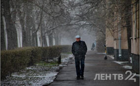 Дожди, мокрый снег и до +6 градусов: о погоде в Ленобласти 10 ноября