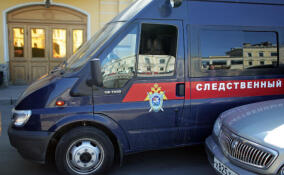 Во Всеволожске мужчина обвиняется в смертельном избиении сожительницы