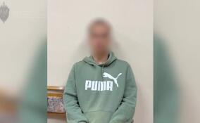 В Петербурге задержан мужчина по подозрению в госизмене