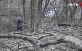 В отношении жителя Петербурга возбудили уголовное дело о государственной измене