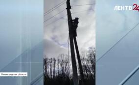 С начала года энергетики выявили около тысячи километров незаконных оптоволоконных линий связи в Ленобласти