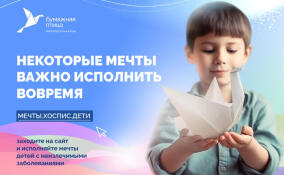 Три моста в Петербурге подсветят синим цветом в честь проекта «Мечты сбываются»