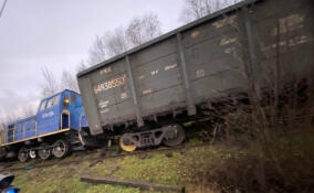 На подъезде к станции Волховстрой-1 сошел с рельсов тепловоз