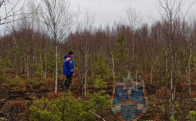 Ленинградских спасателей 20 раз за неделю привлекали к работе