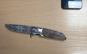 На детской площадке в Петербурге пьяный мужчина избил женщину и угрожал ей ножом