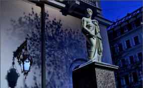 Этой осенью в Петербурге убрали почти 300 млн квадратных метров территории