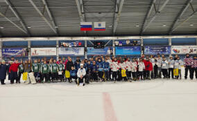 Стали известны победители и призеры первенства Ленобласти по хоккею с мячом