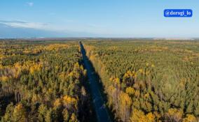 Дорожники завершают обновление участка дороги Санкт-Петербург – завод имени Свердлова – Всеволожск